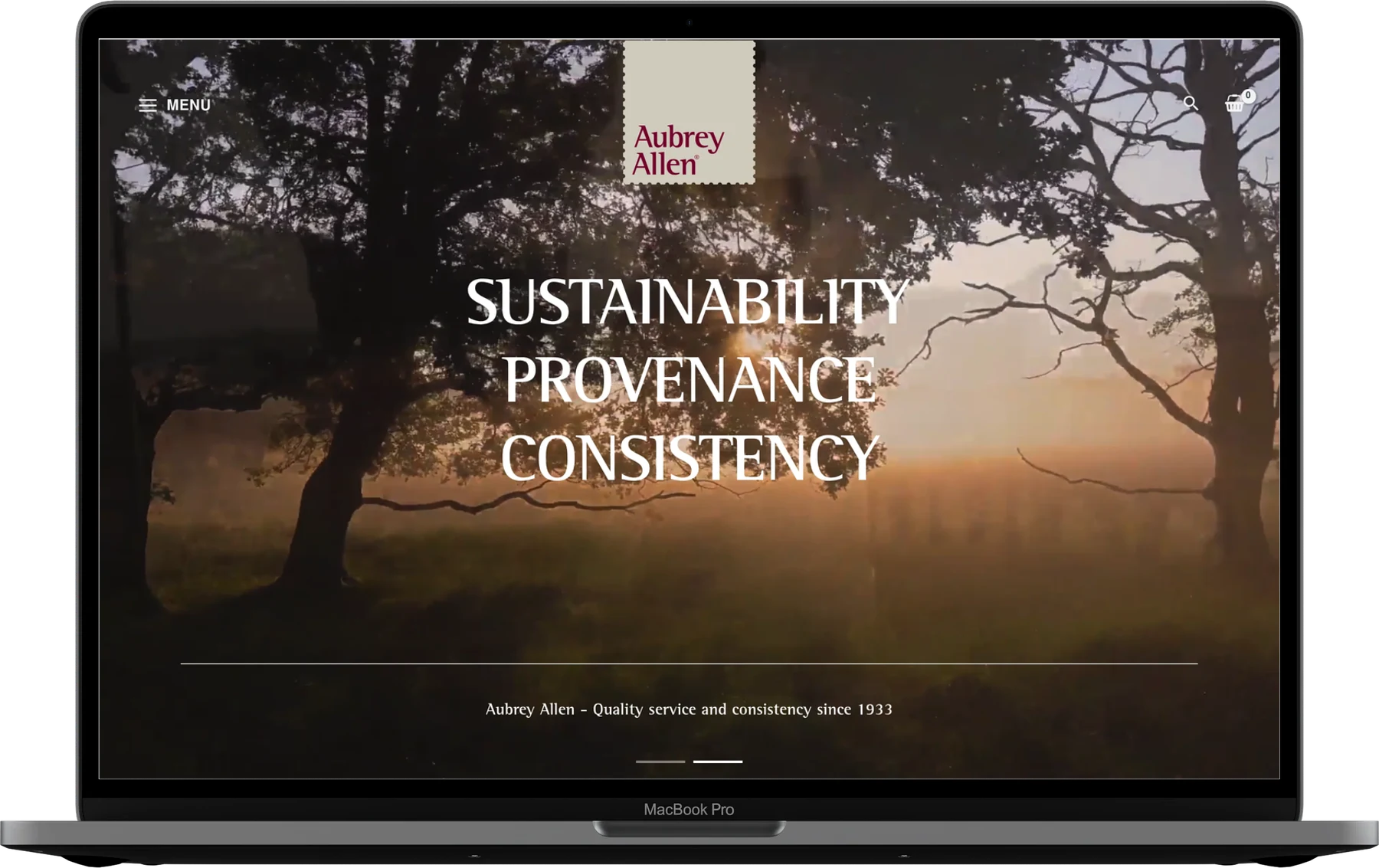 Aubrey Allen — MacBook Pro isolated